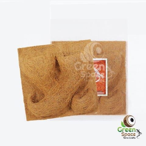 Coco Planting Background 30 X 30cm